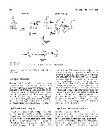 Bhagavan Medical Biochemistry 2001, page 537